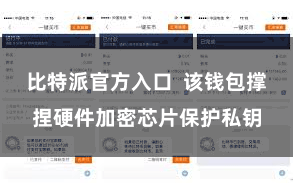 比特派官方入口  该钱包撑捏硬件加密芯片保护私钥