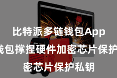 比特派多链钱包App 该钱包撑捏硬件加密芯片保护私钥