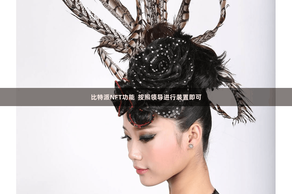 比特派NFT功能 按照领导进行装置即可