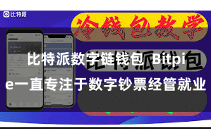 比特派数字链钱包 Bitpie一直专注于数字钞票经管就业