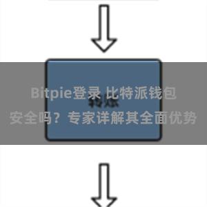 Bitpie登录 比特派钱包安全吗？专家详解其全面优势