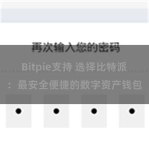 Bitpie支持 选择比特派：最安全便捷的数字资产钱包