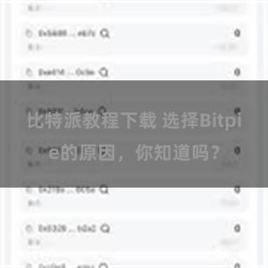 比特派教程下载 选择Bitpie的原因，你知道吗？