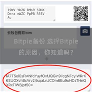 Bitpie备份 选择Bitpie的原因，你知道吗？