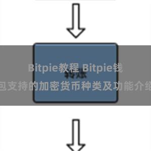 Bitpie教程 Bitpie钱包支持的加密货币种类及功能介绍