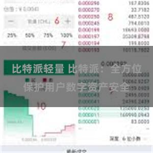 比特派轻量 比特派：全方位保护用户数字资产安全