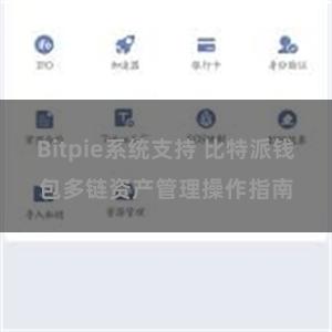 Bitpie系统支持 比特派钱包多链资产管理操作指南