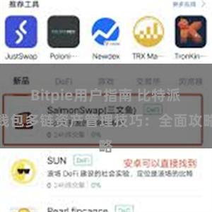 Bitpie用户指南 比特派钱包多链资产管理技巧：全面攻略