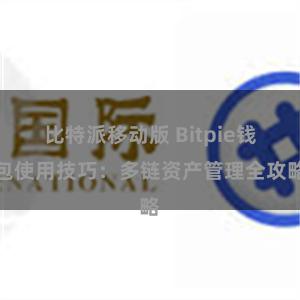 比特派移动版 Bitpie钱包使用技巧：多链资产管理全攻略