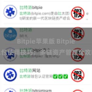 Bitpie苹果版 Bitpie钱包使用技巧：多链资产管理全攻略