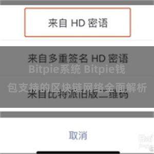 Bitpie系统 Bitpie钱包支持的区块链网络全面解析