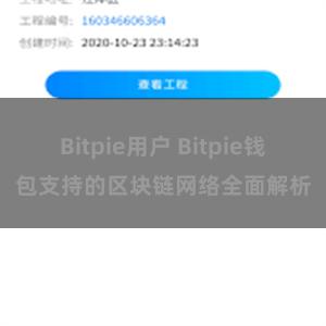 Bitpie用户 Bitpie钱包支持的区块链网络全面解析