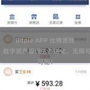 Bitpie APP 比特派钱包：数字资产管理生态进化，无限可能！