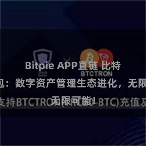 Bitpie APP直链 比特派钱包：数字资产管理生态进化，无限可能！