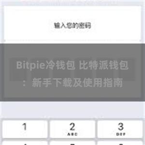 Bitpie冷钱包 比特派钱包：新手下载及使用指南