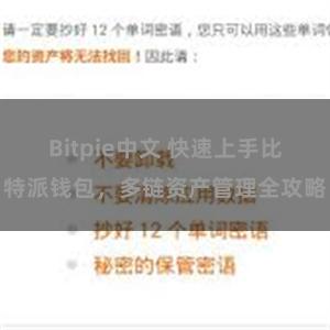 Bitpie中文 快速上手比特派钱包，多链资产管理全攻略