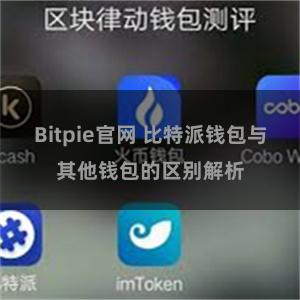 Bitpie官网 比特派钱包与其他钱包的区别解析