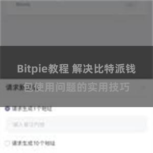 Bitpie教程 解决比特派钱包使用问题的实用技巧