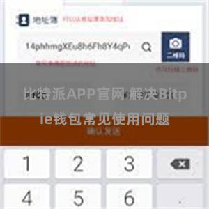 比特派APP官网 解决Bitpie钱包常见使用问题