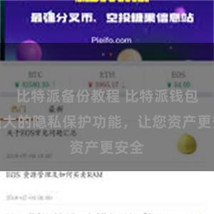 比特派备份教程 比特派钱包：强大的隐私保护功能，让您资产更安全