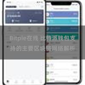 Bitpie在线 比特派钱包支持的主要区块链网络解析