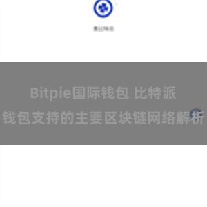 Bitpie国际钱包 比特派钱包支持的主要区块链网络解析