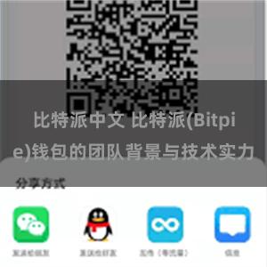 比特派中文 比特派(Bitpie)钱包的团队背景与技术实力