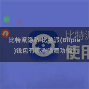 比特派隐私 比特派(Bitpie)钱包有哪些隐藏功能？