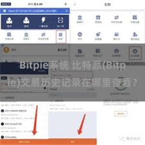 Bitpie系统 比特派(Bitpie)交易历史记录在哪里查看？