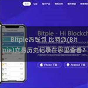 Bitpie热钱包 比特派(Bitpie)交易历史记录在哪里查看？