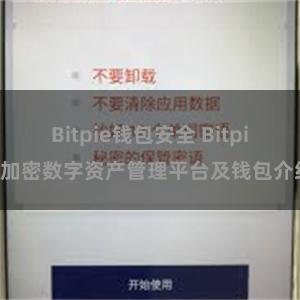 Bitpie钱包安全 Bitpie加密数字资产管理平台及钱包介绍