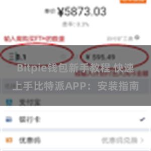 Bitpie钱包新手教程 快速上手比特派APP：安装指南