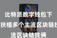 比特派数字钱包下载  扶植多个主流区块链技俩