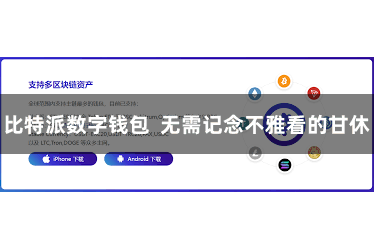 比特派数字钱包  无需记念不雅看的甘休