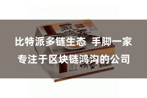 比特派多链生态  手脚一家专注于区块链鸿沟的公司
