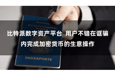 比特派数字资产平台  用户不错在诓骗内完成加密货币的生意操作