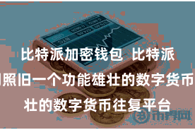 比特派加密钱包  比特派App官网照旧一个功能雄壮的数字货币往复平台