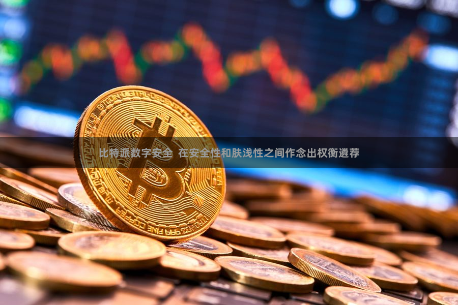 比特派数字安全  在安全性和肤浅性之间作念出权衡遴荐