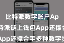 比特派数字账户App  比特派链上钱包App还撑合手多种数字货币